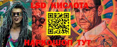 дмт Славгород