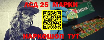 дмт Славгород