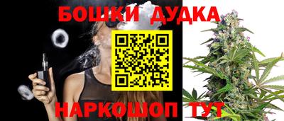 крисы Сланцы