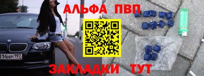 дмт Славгород