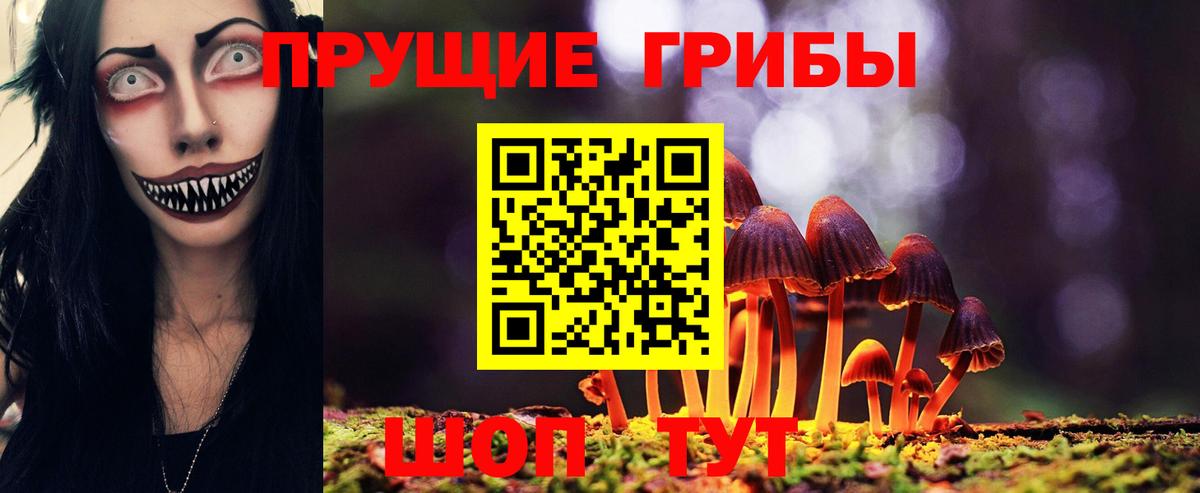 Галлюциногенные грибы Cubensis Ноябрьск