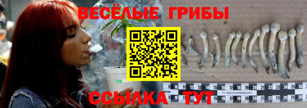 Ноябрьск  Псилоцибиновые грибы MAGIC MUSHROOMS  Вход с VPN 